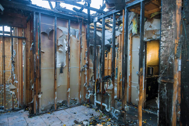 Professional Odor Removal technician working in Rochester, IL